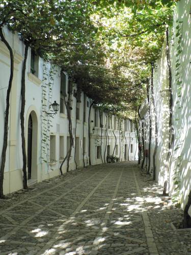 63- Rue ombragee dans les caves Tio Pepe 